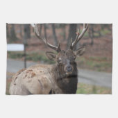 Elk Kitchen Handtuch (Horizontal)