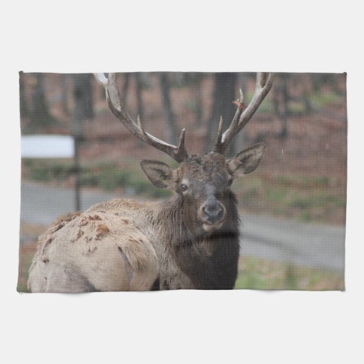 Elk Kitchen Handtuch (Horizontal)