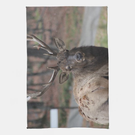 Elk Kitchen Handtuch (Vertikal)