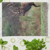 Elk Kitchen Handtuch (Gefaltet)