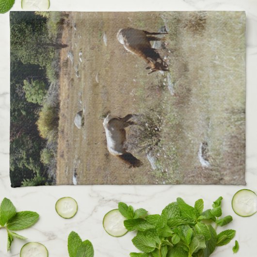 Elk Kitchtuch Geschirrtuch (Gefaltet)