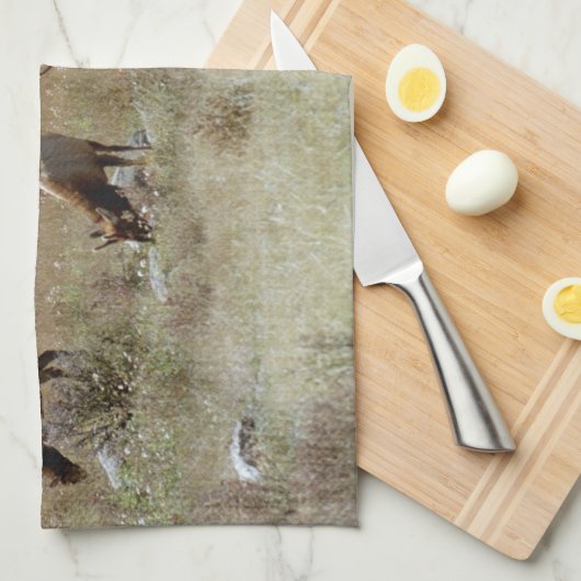 Elk Kitchtuch Geschirrtuch (Viertel Falte)