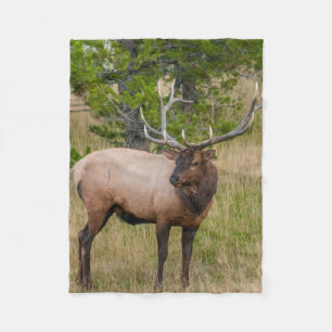 Elk Lake Village Yellowstone Nationalpark Wyoming Fleecedecke