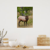 Elk Lake Village Yellowstone Nationalpark Wyoming Poster (Küche)