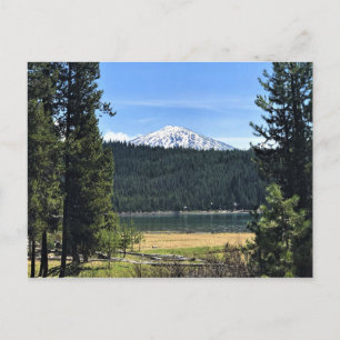 Elk Lake with Mount Bachelor, Oregon Postkarte