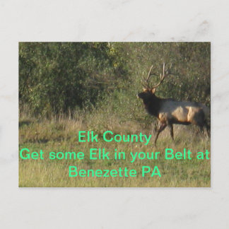 Elk Landkreis Benezette PA Postkarte