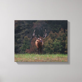 Elk-Leinwand Leinwanddruck