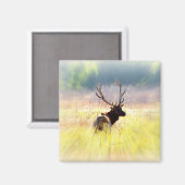 Elk "Looking Back" Magnet (Vorderseite/Rückseite)