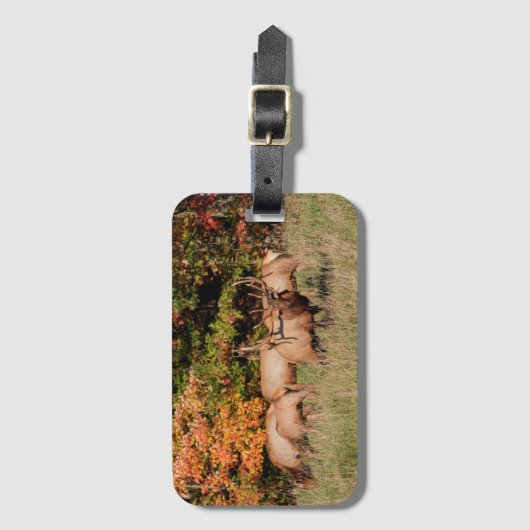 Elk Luggage Tag Gepäckanhänger (Vorderseite Vertikal)