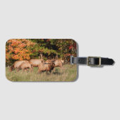 Elk Luggage Tag Gepäckanhänger (Vorderseite (Horizontal))