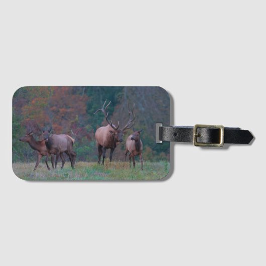 Elk Luggage Tag Gepäckanhänger (Vorderseite (Horizontal))