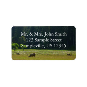 Elk Meadow im Redwood-Nationalpark Adressaufkleber