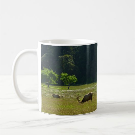 Elk Meadow im Redwood-Nationalpark Kaffeetasse (Links)