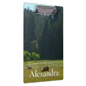 Elk Meadow im Redwood-Nationalpark Klemmbrett (Rechts)