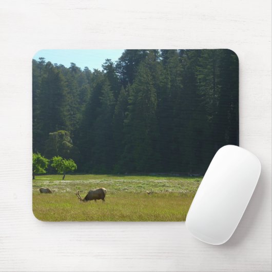 Elk Meadow im Redwood-Nationalpark Mousepad (Mit Mouse)