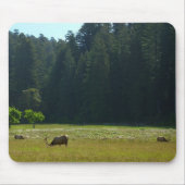 Elk Meadow im Redwood-Nationalpark Mousepad (Vorne)