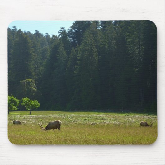 Elk Meadow im Redwood-Nationalpark Mousepad (Vorne)