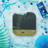 Elk Meadow im Redwood-Nationalpark Pappteller (Party)