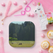 Elk Meadow im Redwood-Nationalpark Pappteller (Party)