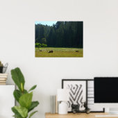 Elk Meadow im Redwood-Nationalpark Poster (Heimbüro)