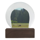 Elk Meadow im Redwood-Nationalpark Schneekugel (Rückseite)