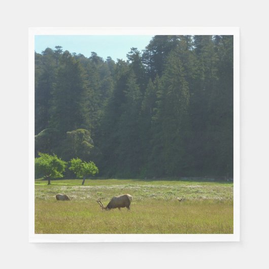 Elk Meadow im Redwood-Nationalpark Serviette (Vorderseite)