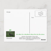 Elk, Milner Pass Postkarte (Rückseite)