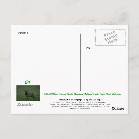Elk, Milner Pass Postkarte (Rückseite)