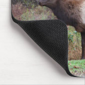 Elk Mousepad (Ecke)