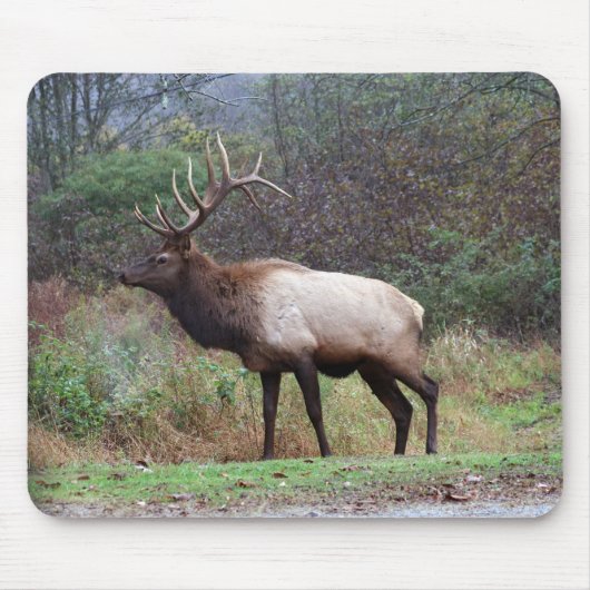 Elk Mousepad (Vorne)