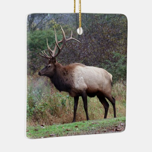 Elk Ornament (Rechts)
