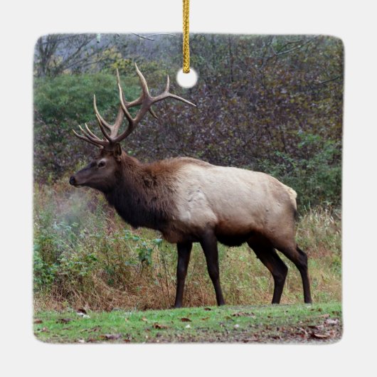 Elk Ornament (Rückseite)
