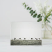 Elk P2799 Postkarte (Stehend Vorderseite)