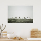 Elk P2799 Print Poster (Küche)