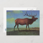 Elk Painting Postkarte (Vorne/Hinten)
