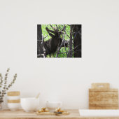 Elk Park Colorado Poster (Küche)