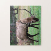 Elk Puzzle (Vertikal)