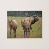 Elk Puzzle (Horizontal)