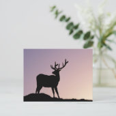 Elk Rocky Mountain National Park, Colorado Postkarte (Stehend Vorderseite)