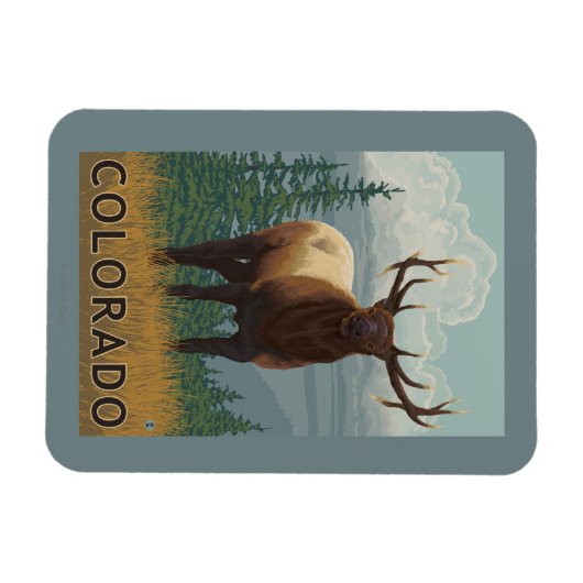 Elk SceneColorado Magnet (Horizontal)
