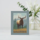Elk SceneColorado Postkarte (Stehend Vorderseite)