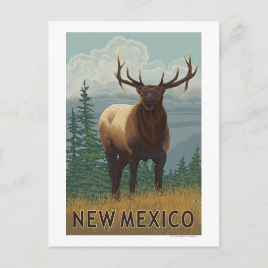 Elk SceneNew Mexico Postkarte (Vorderseite)