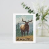 Elk SceneNew Mexico Postkarte (Stehend Vorderseite)