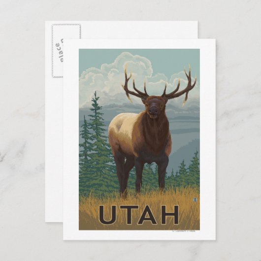 Elk SceneUtah Postkarte (Vorne/Hinten)
