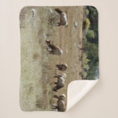 Elk-Sherpa-Decke Sherpadecke (Vorderseite)