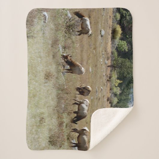 Elk-Sherpa-Decke Sherpadecke (Vorderseite)