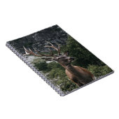 ELK STACK DEIN NOTIZBLOCK (Rechte Seite)