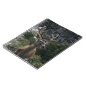 ELK STACK DEIN NOTIZBLOCK (Linke Seite)
