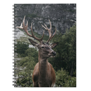ELK STACK DEIN NOTIZBLOCK