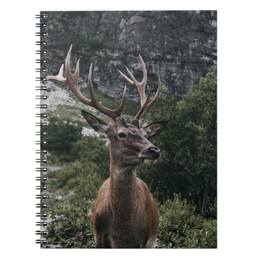 ELK STACK DEIN NOTIZBLOCK (Vorderseite)